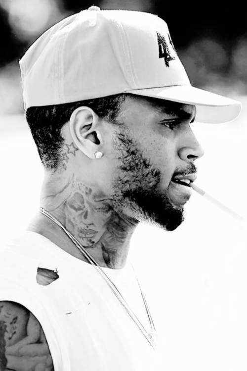 chris brown beard side view hairstyle