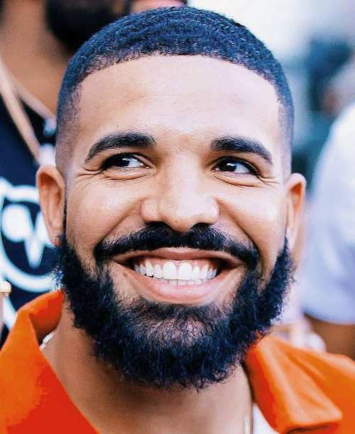 drake beard hair