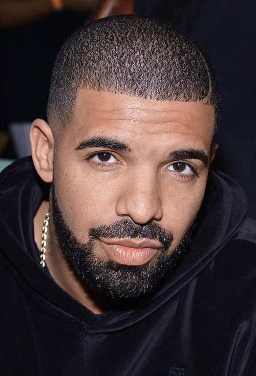 drake hairstyle