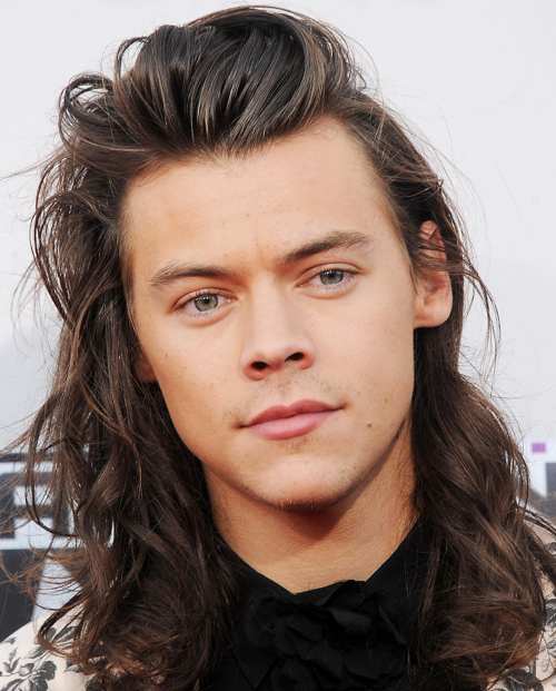 harry styles famous long hair