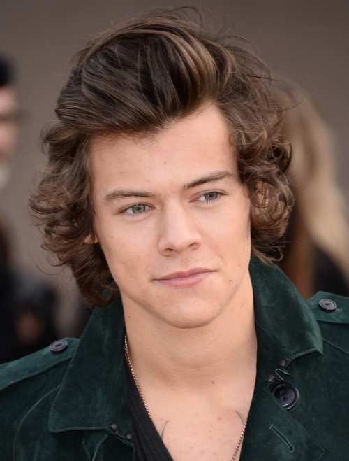 Harry Styles Haircut - Men's Hairstyles & Haircuts 2019