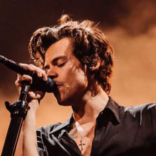 Harry Styles Haircut Men S Hairstyles Haircuts 2019