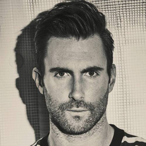 12 adam levine one side textured comb thin hair